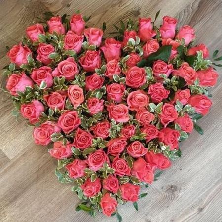 Rosenherz Oasis 30 cm