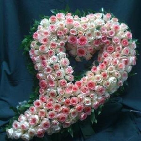 Oasisherz geschwungen Rosen rosa